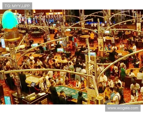 深入了解澳门十大娱乐场的安全保障措施，确保您的博彩体验安全无忧