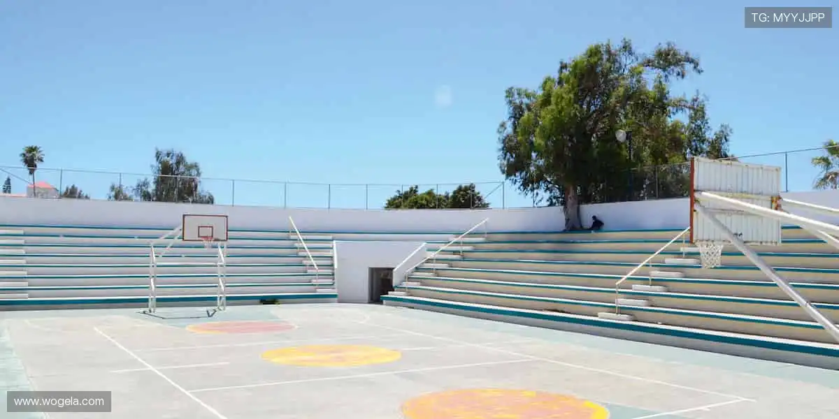 全景手机游戏空间：多重玩法一站聚合，总有一种适合你